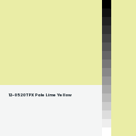 Color chip: 12-0520 TPX Pale Lime Yellow