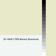 Color chip: 12-0607 TPX Green Essence