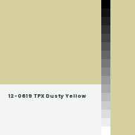 Color chip: 12-0619 TPX Dusty Yellow