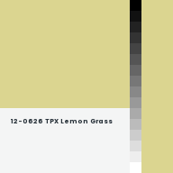 Color chip: 12-0626 TPX Lemon Grass