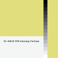 Color chip: 12-0633 TPX Canary Yellow