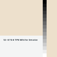 Color chip: 12-0704 TPX White Smoke