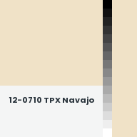 Color chip: 12-0710 TPX Navajo