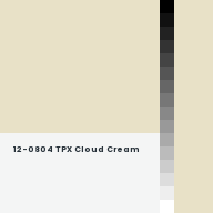 Color chip: 12-0804 TPX Cloud Cream