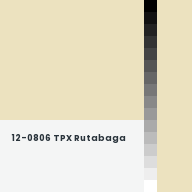 Color chip: 12-0806 TPX Rutabaga