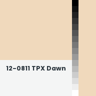 Color chip: 12-0811 TPX Dawn