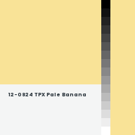 Color chip: 12-0824 TPX Pale Banana