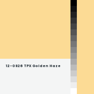 Color chip: 12-0826 TPX Golden Haze