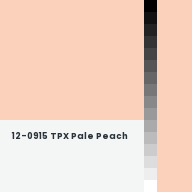 Color chip: 12-0915 TPX Pale Peach