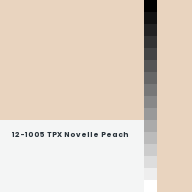 Color chip: 12-1005 TPX Novelle Peach