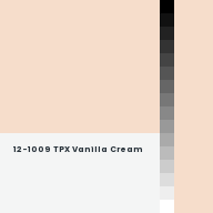 Color chip: 12-1009 TPX Vanilla Cream