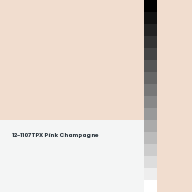 Color chip: 12-1107 TPX Pink Champagne