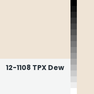 Color chip: 12-1108 TPX Dew