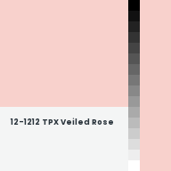 Color chip: 12-1212 TPX Veiled Rose