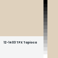 Color chip: 12-1403 TPX Tapioca