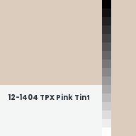 Color chip: 12-1404 TPX Pink Tint