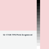 Color chip: 12-1706 TPX Pink Dogwood