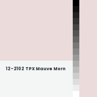 Color chip: 12-2102 TPX Mauve Morn