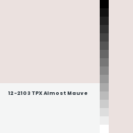 Color chip: 12-2103 TPX Almost Mauve