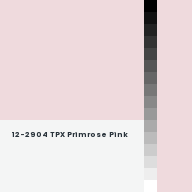 Color chip: 12-2904 TPX Primrose Pink