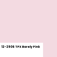Color chip: 12-2906 TPX Barely Pink