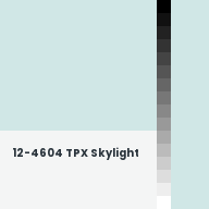 Color chip: 12-4604 TPX Skylight