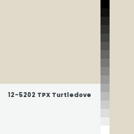 Color chip: 12-5202 TPX Turtledove