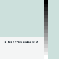 Color chip: 12-5204 TPX Morning Mist
