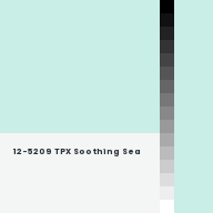 Color chip: 12-5209 TPX Soothing Sea