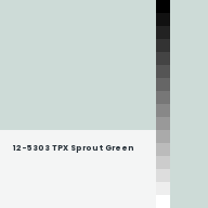 Color chip: 12-5303 TPX Sprout Green