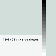 Color chip: 12-5403 TPX Blue Flower