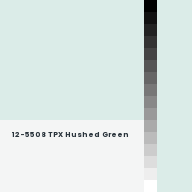 Color chip: 12-5508 TPX Hushed Green
