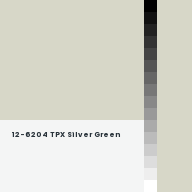 Color chip: 12-6204 TPX Silver Green
