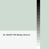 Color chip: 12-6205 TPX Milky Green