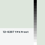 Color chip: 12-6207 TPX Frost