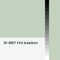 Color chip: 13-0107 TPX Dewkist