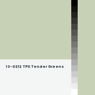 Color chip: 13-0212 TPX Tender Greens