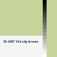 Color chip: 13-0317 TPX Lily Green