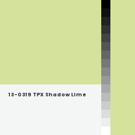 Color chip: 13-0319 TPX Shadow Lime
