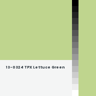 Color chip: 13-0324 TPX Lettuce Green