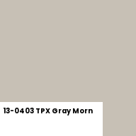 Color chip: 13-0403 TPX Gray Morn