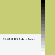 Color chip: 13-0532 TPX Celery Green