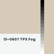 Color chip: 13-0607 TPX Fog