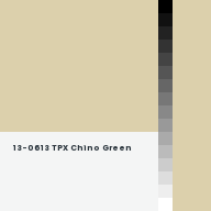Color chip: 13-0613 TPX Chino Green