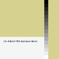 Color chip: 13-0624 TPX Golden Mist