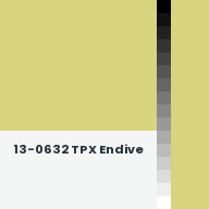 Color chip: 13-0632 TPX Endive