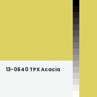 Color chip: 13-0640 TPX Acacia