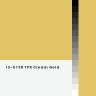 Color chip: 13-0739 TPX Cream Gold