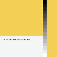 Color chip: 13-0755 TPX Primrose Yellow