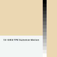 Color chip: 13-0814 TPX Summer Melon